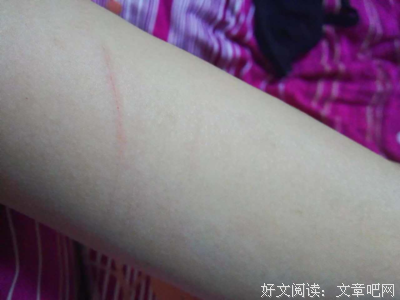 别人都是养猫养狗，而我是养你。