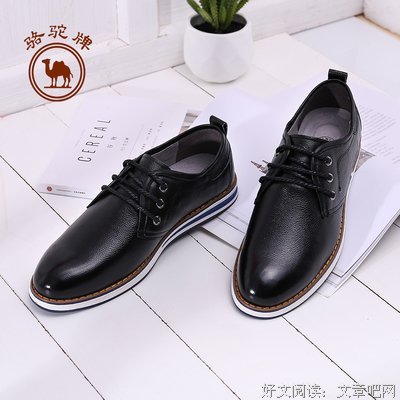 最新的《骆驼祥子》语录摘抄大全