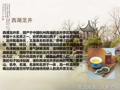 最新的《一一风荷举》经典语句