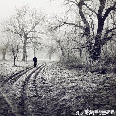 最全的《与孤独为伍》经典名句大全