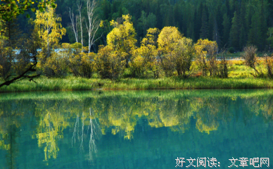 有关失每了她为回忆那在是美....的句子