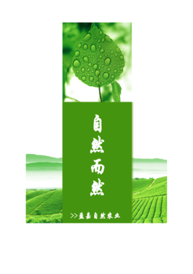  拾遗手册经典的句子