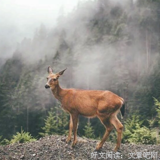 遇见你，三生有幸