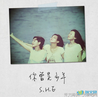 最全的《你曾是少年》经典的句子