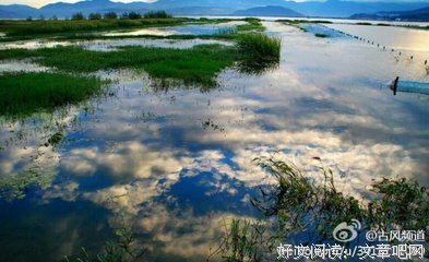 「风花雪月」六百九十五章