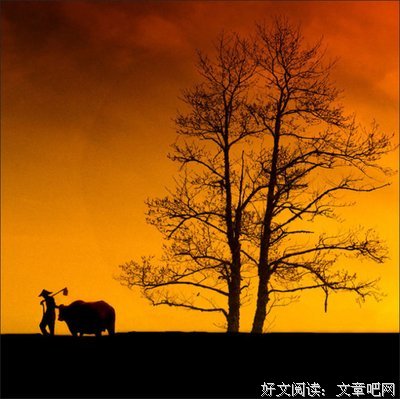 最新的《快乐的知识》经典名句