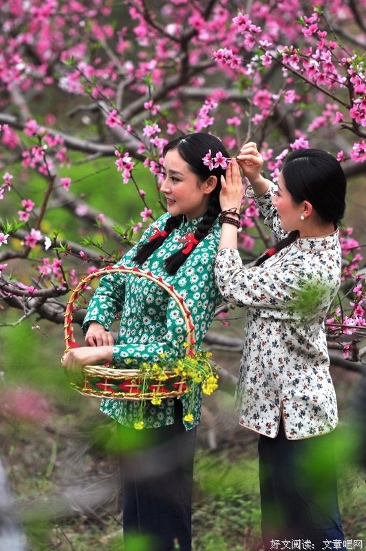 《提灯映桃花》好段摘抄