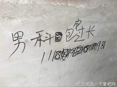 《星光的彼端》小说句子大全