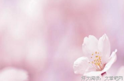 《最好的我们》经典的句子