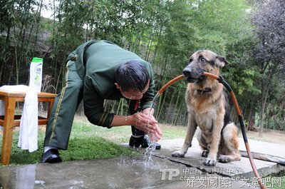 舔狗请排队进来清醒一下。