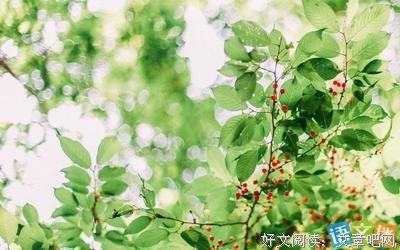 《能量脉轮书》语录摘抄