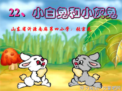 描写小白兔的经典句子