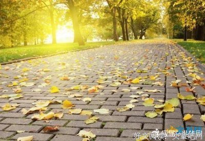有关堂堂正正的美句摘抄