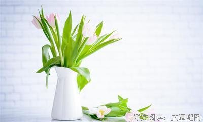有关素素的美句摘抄