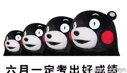 关于聪慧的语句