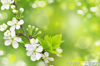 春和景明的语句摘抄_关于春和景明的语句