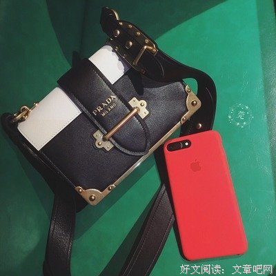 关于真假难辨的名言