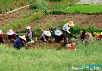 心血来潮经典名句