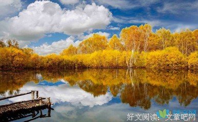《飘零久》的句子