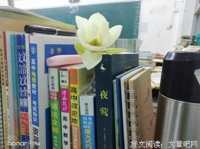 关于爱上一朵花的优美句子