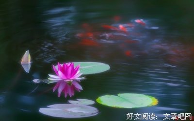 南柯一梦优美的句子