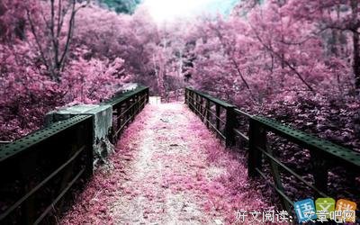 暖优美的句子
