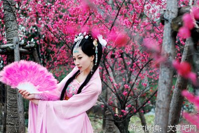 淡墨素笺经典的句子
