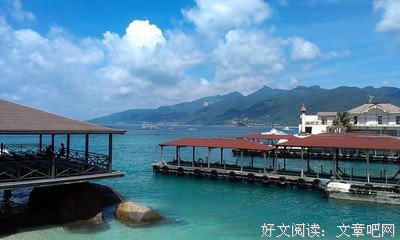 张秋寒名言