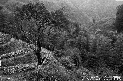 水阡墨的名言