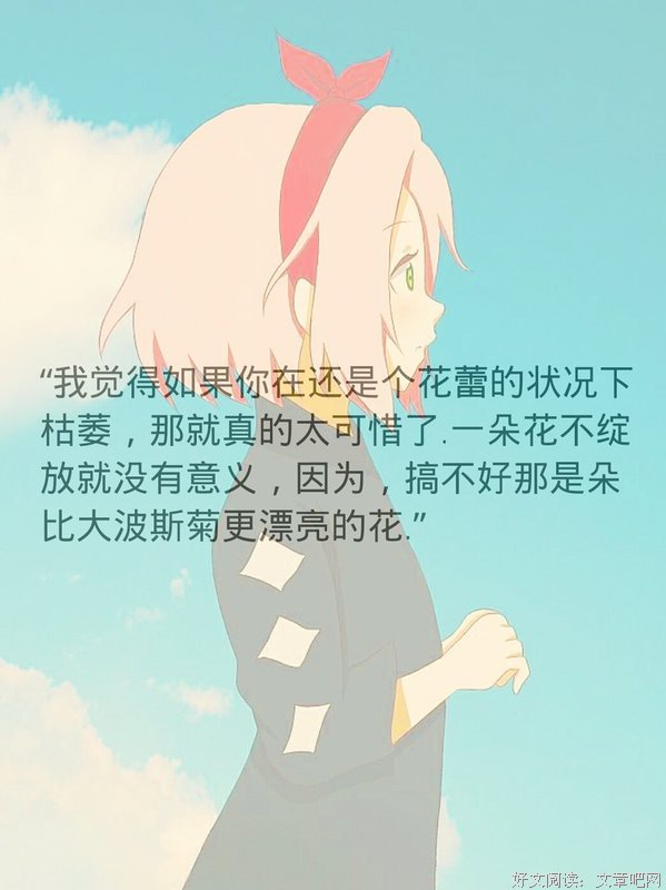 最新的春野樱精彩语录