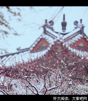 空山人去远，回首落梅花