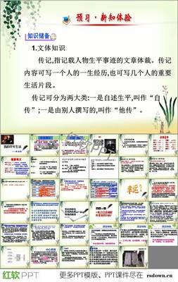 最经典的《萤火虫小巷》经典名句大全