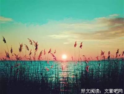 最新的《送你一颗子弹》小说句子