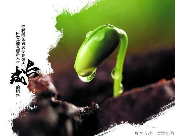 最经典的《与大神JQ的日子》小说句子大全