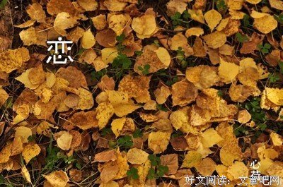 最新的《人生若只如初见》经典句子