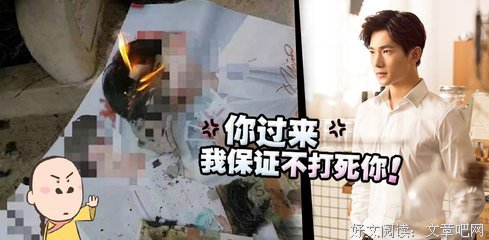 最新的《何处暖阳不倾城》经典名句