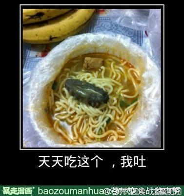 魏忠贤的语句摘抄_关于魏忠贤的语句