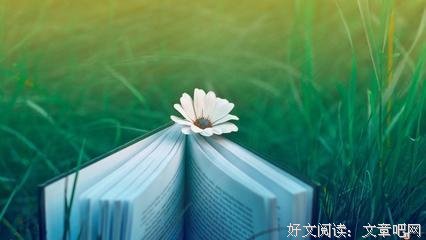 句便气句子大全