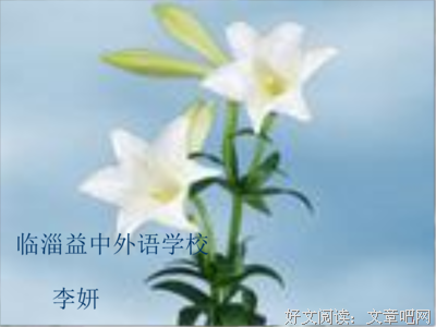 关于【上心钟意】的优美句子