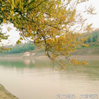 席慕容“青春”句子大全