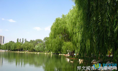 不用说不用就他出的优美句子