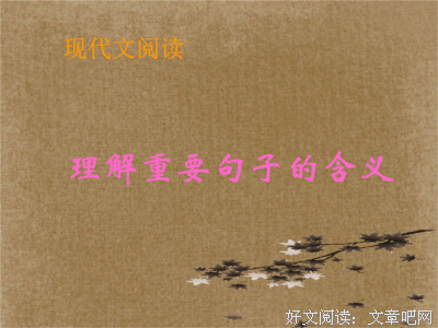 毕淑敏句子大全