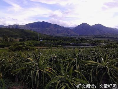最全的陆良深的名言