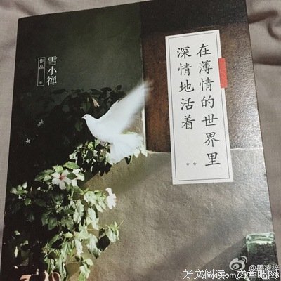 有关雪小禅经典名句
