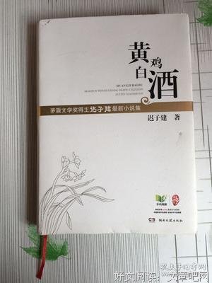 最新的迟子建名言大全
