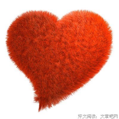 最全的《开始爱，你还在》经典语句
