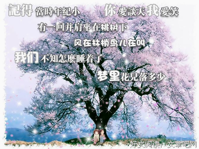 最全的《梦里花落知多少》经典语句