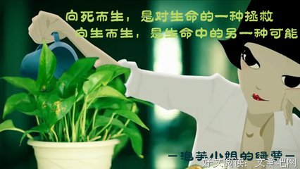 《寻找爱情的邹小姐》经典语录
