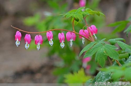 生活是自己的，别活给别人看