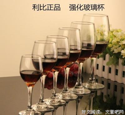 关于利比的座右铭
